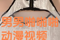 动漫啪啪啪视频,激情四溢的视觉盛宴