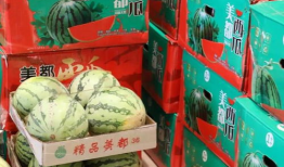 沧州保定吃瓜最新事件爆料,揭秘最新网络热议焦点