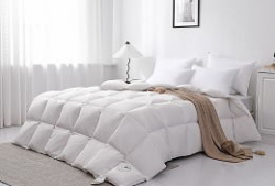 91家纺江苏南通直播化纤,91家纺江苏南通直播化纤产业创新之旅